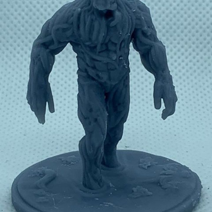 3rd Guardian: Swamp King — Dark Fantasy Monsters STL miniature by Clay Cyanide