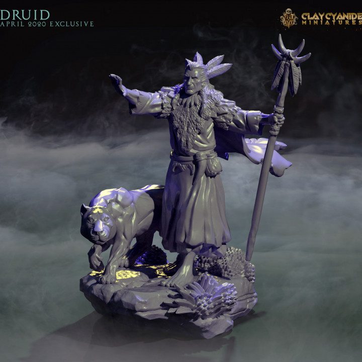 Druid