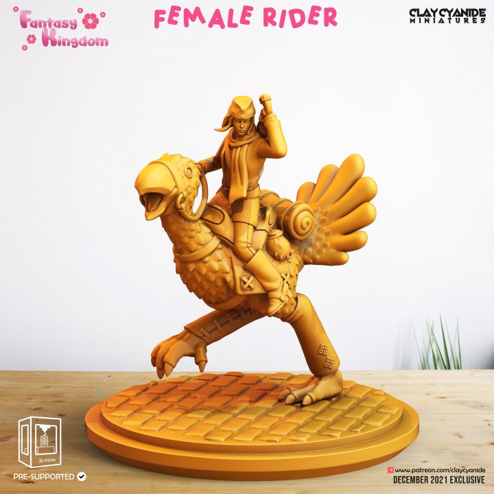 Female Rider — Fantasy Heroes & Champions STL miniature by Clay Cyanide