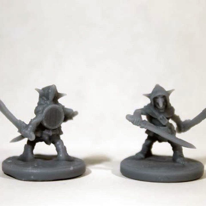 Goblin Raider 2