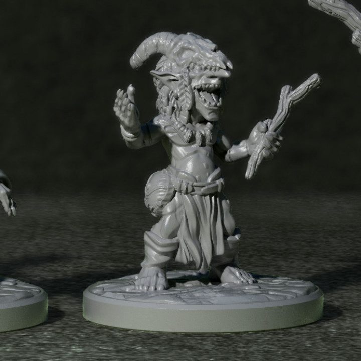 Goblin Shaman 2