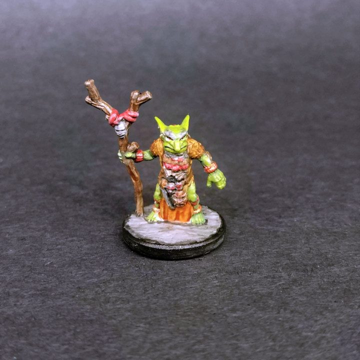 Goblin Shaman 3