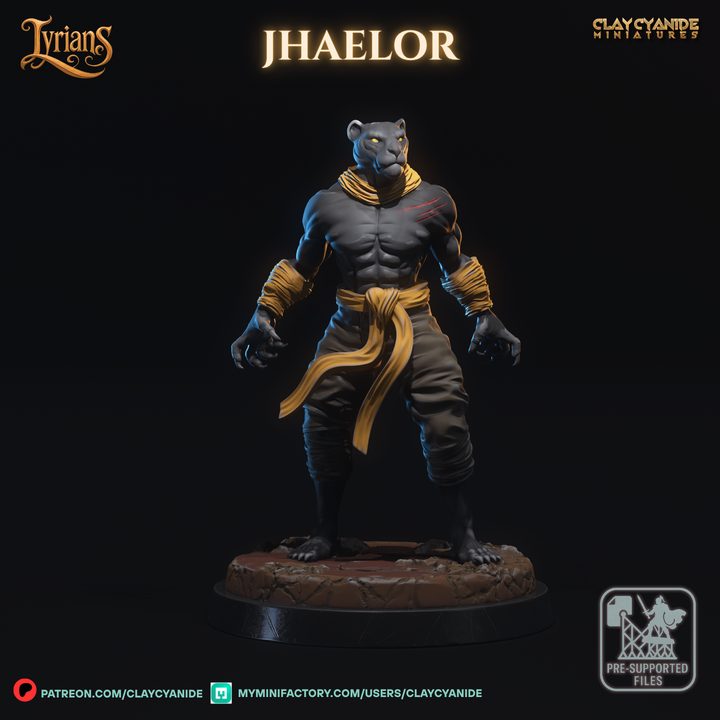 Jhaelor — Fantasy Heroes & Champions STL miniature by Clay Cyanide