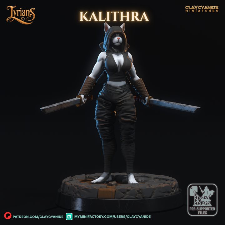 Kalithra — Fantasy Heroes & Champions STL miniature by Clay Cyanide