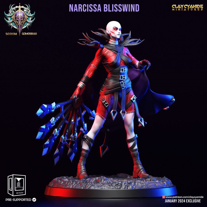 Narcissa Blisswind — Fantasy Heroes & Champions STL miniature by Clay Cyanide