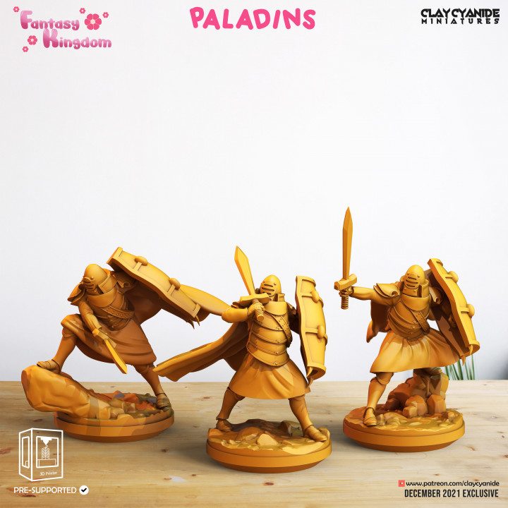 Paladins — Fantasy Heroes & Champions STL miniature by Clay Cyanide